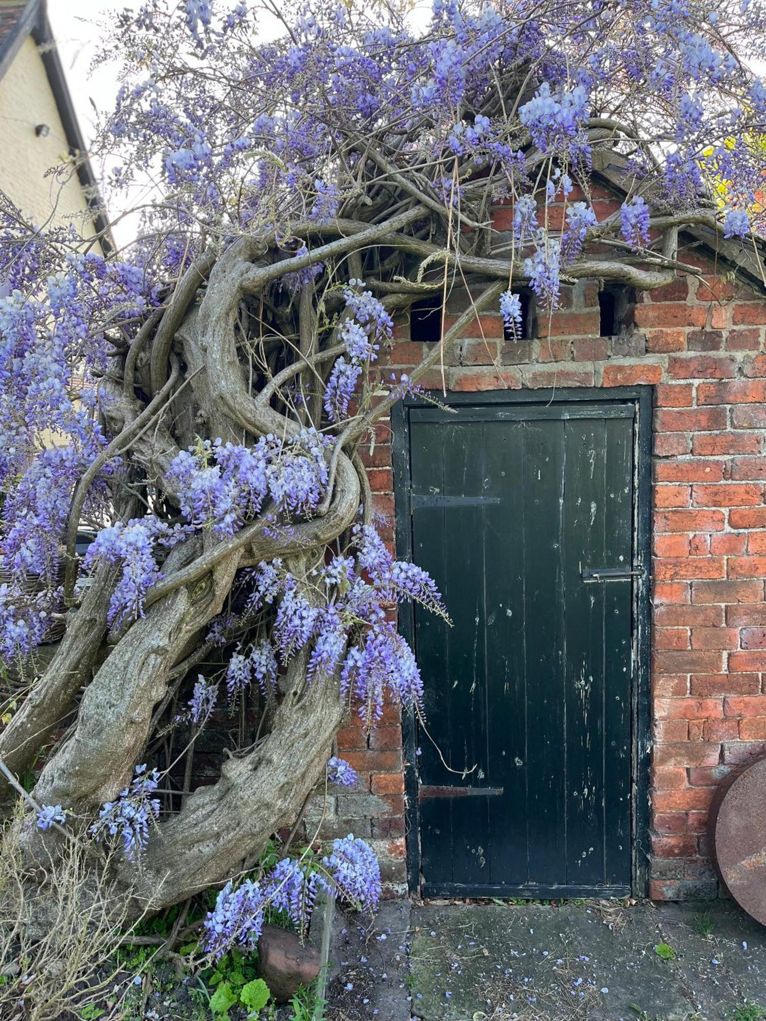 Loppington Spenford House 1640 Listed House Idilic Location Pub Walking Distance B&B 외부 사진